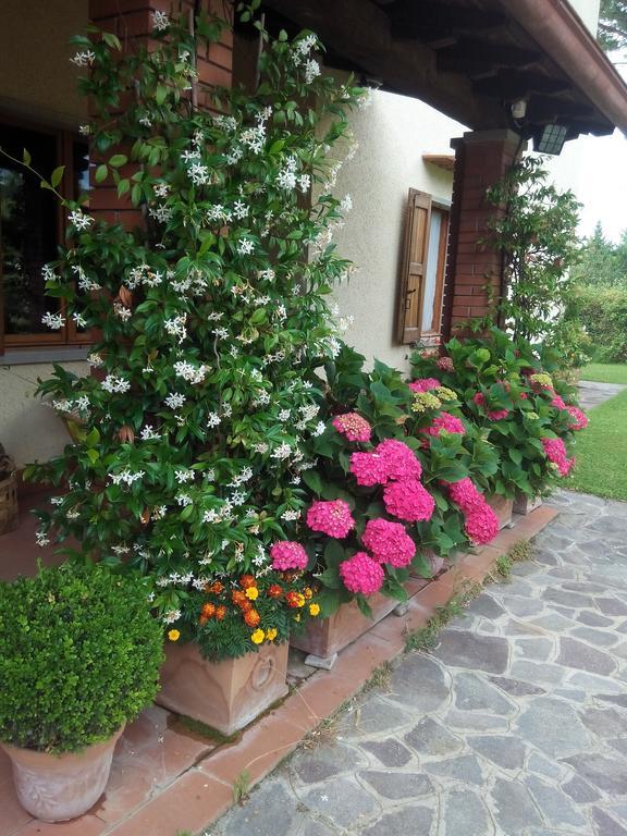 Da Ronald ... A Pian Del Papa Guest House Пратовекио Екстериор снимка